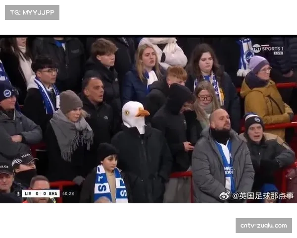 布莱顿近13轮仅取一胜 海鸥军团状态持续低迷不振